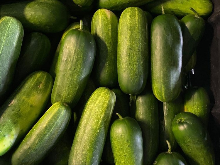 Ben+Wells+Produce-+Ben+Wells+-+371FD407-63A4-498A-B61D-8264650B210D Fresh cucumbers stacked together, showcasing their vibrant green color and smooth skin, ideal for salads, pickling, or snacking.