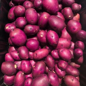 A close-up view of fresh purple potatoes piled together in a black container, showcasing their vibrant color and smooth texture.