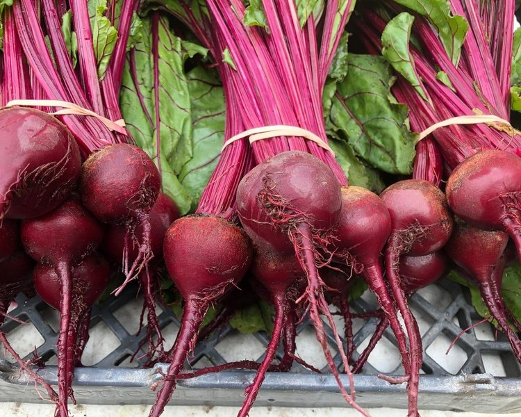 Ben+Wells+Produce-+Ben+Wells+-+C84CB3A4-519C-4E94-A7E6-836B4A0B68B2 Bunch of freshly harvested beetroots with vibrant red skin and green tops, arranged neatly in a crate at a farmer's market.