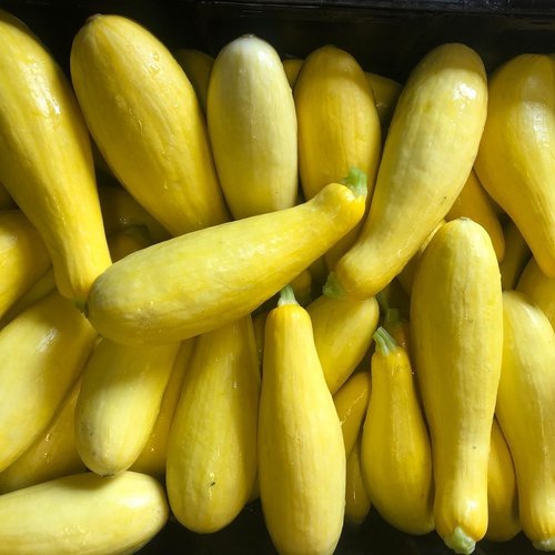 Ben+Wells+Produce-+Ben+Wells+-+F1B04A79-0D9A-451F-8434-AABF9728FD66 Fresh yellow squash piled together, showcasing their smooth skin and vibrant color, ideal for healthy cooking and recipes.