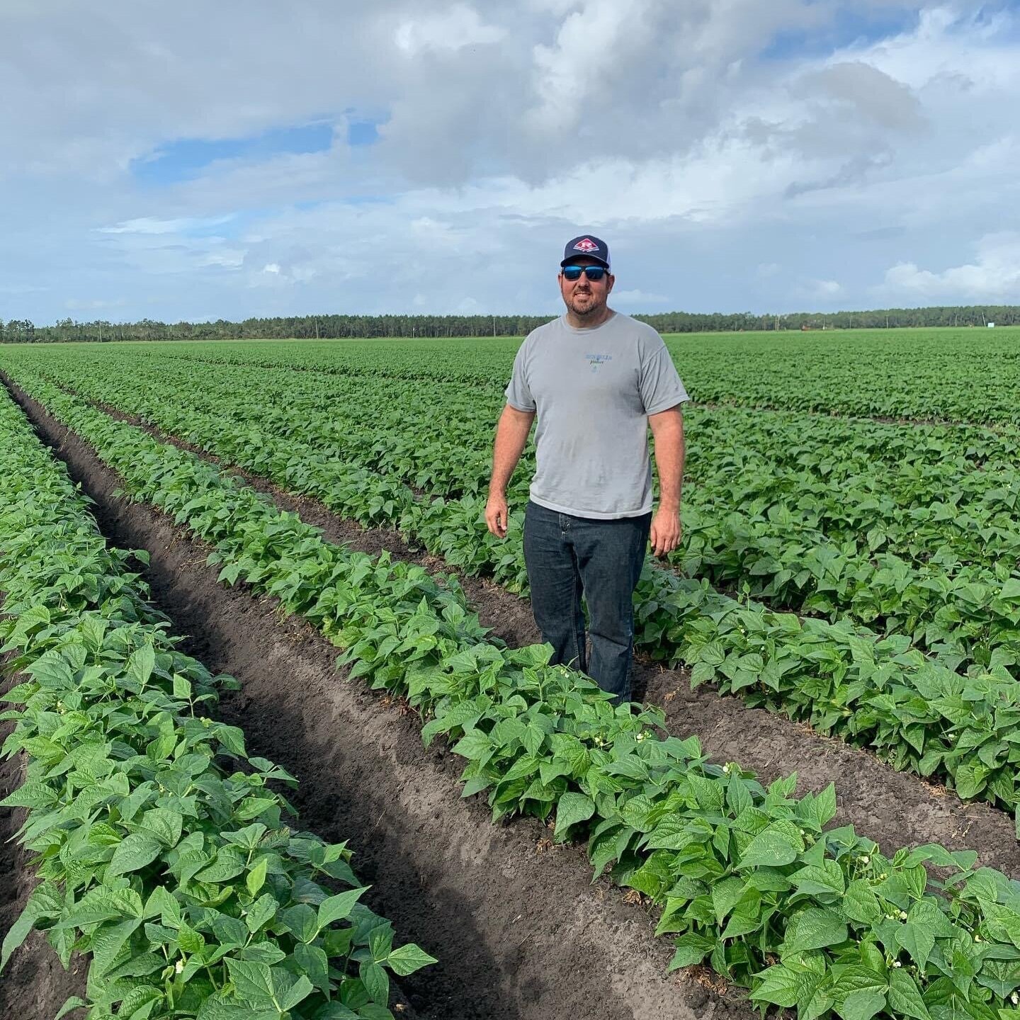 Farmer standing in a lush green field of bean plants under a cloudy sky, showcasing agricultural practices and crop growth.